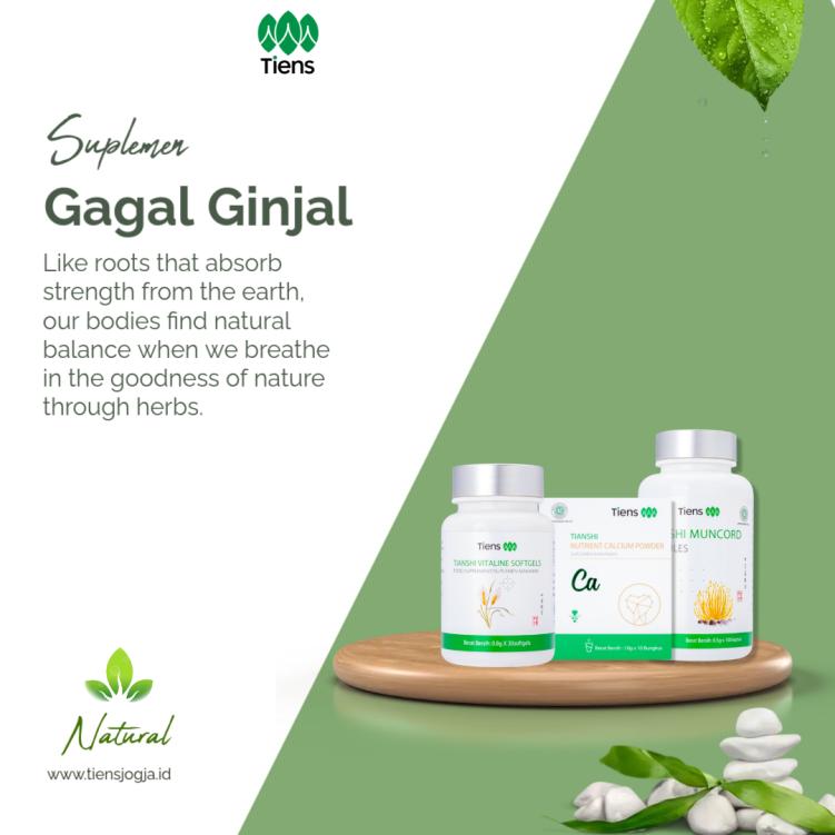 Penyakit Gagal Ginjal dan Solusi Kesehatan dengan Produk Tiens