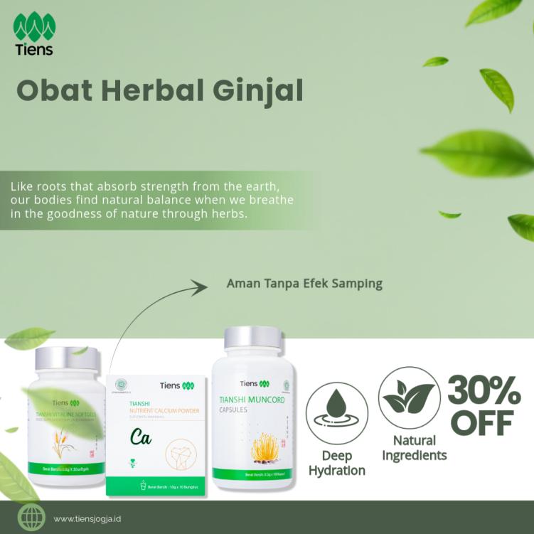 Solusi Alami untuk Kesehatan Ginjal dengan Obat Herbal Tiens